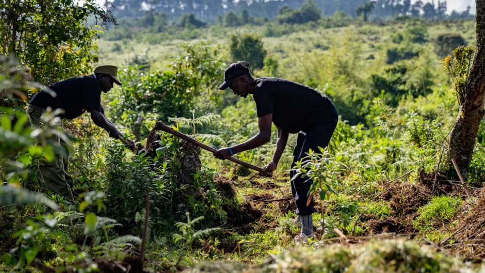 Conserving Kijabe Forest