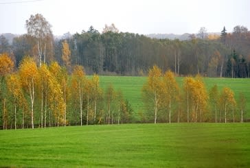 A hundred years ago, 30% of Latvian territory was occupied by natural meadows untouched by human hands.