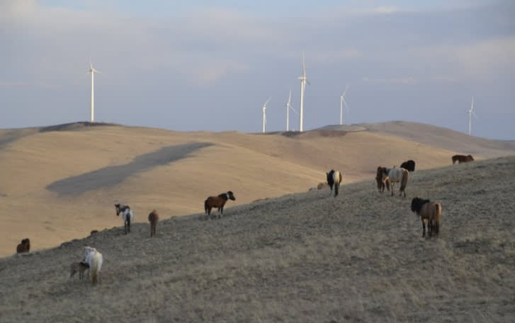Windfarm Mongolia