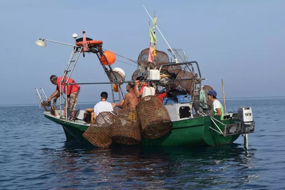 Preserving the ecosystem of the Al Hoceima National Park Marine Protected Area
