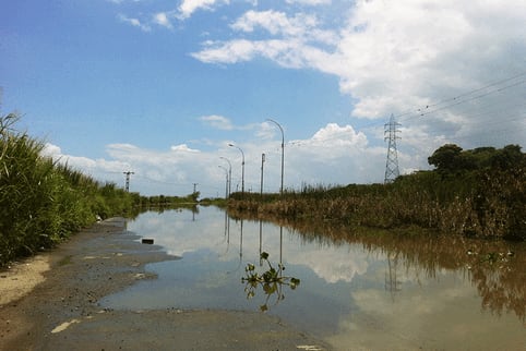 Water pollution in Valencia Lake, Venezuela