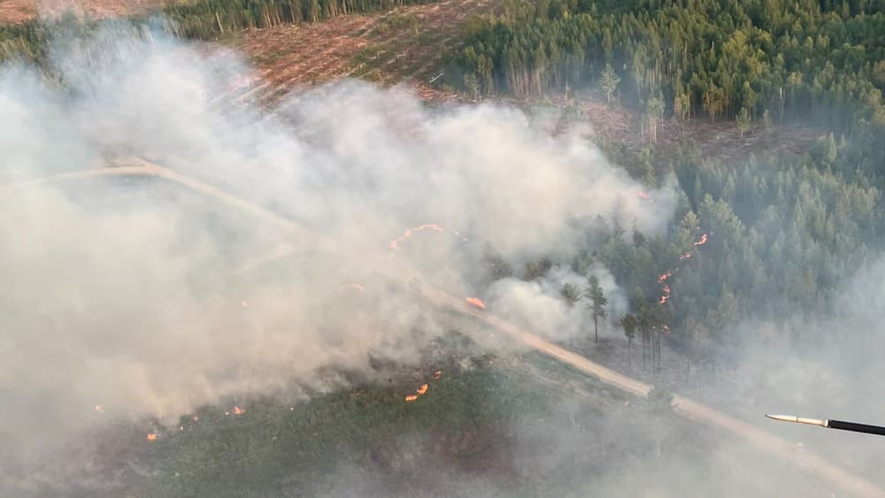 August 10, 2025 of a wildfire burning out of control near Canterbury.