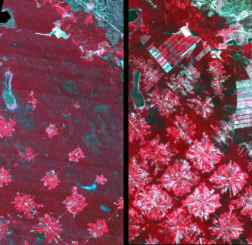 Side-by-side satellite images of the area east of Santa Cruz, Bolivia in 1986 and 2001, showing forest loss from agricultural expansion (NASA)
