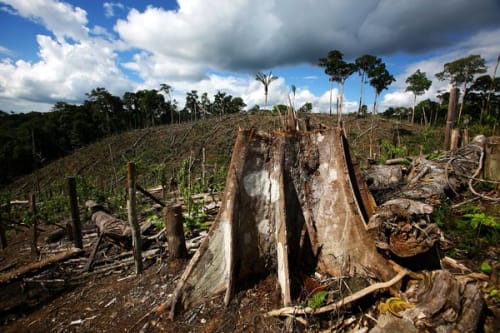 Deforestation in Uganda