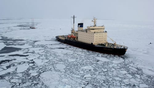 Pollution in the Arctic