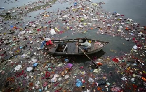 Pollution of the Yamuna River by domestic sewage leads to ecological disaster