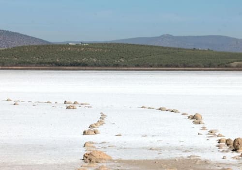 Dry up of Laguna de la Fuente de Piedra, Spain