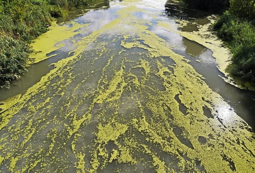 Water pollution Ohio River, USA