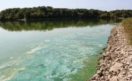 Chemical pollution of the Ros River, Ukraine