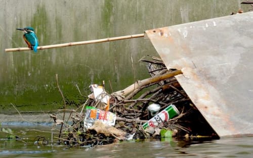 Pollution of the Wye River in the United Kingdom