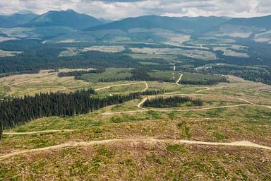 Deforestation in British Columbia, Canada