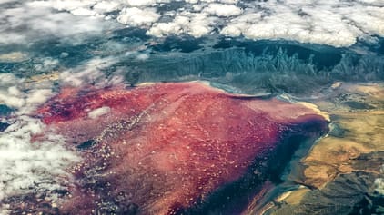 The risk of extinction of little flamingos on Lake Natron in Tanzania