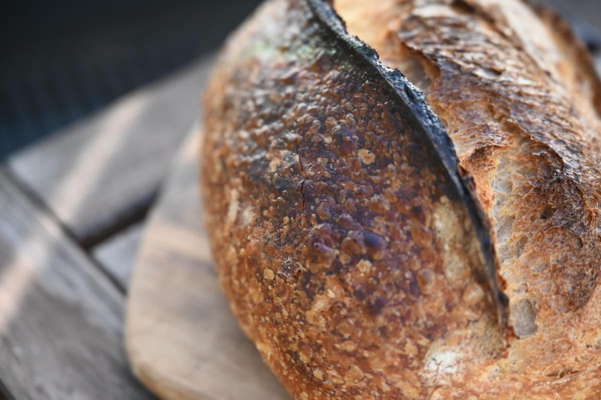 Dark Khorasan Wheat Sourdough Bread