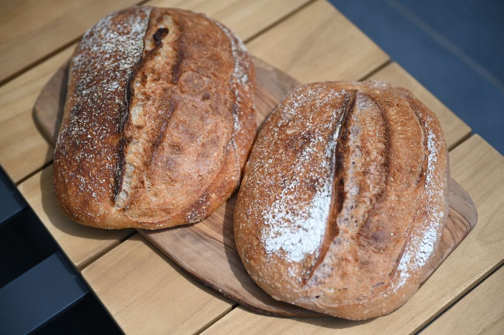 Red and blackcurrants yeast water bread