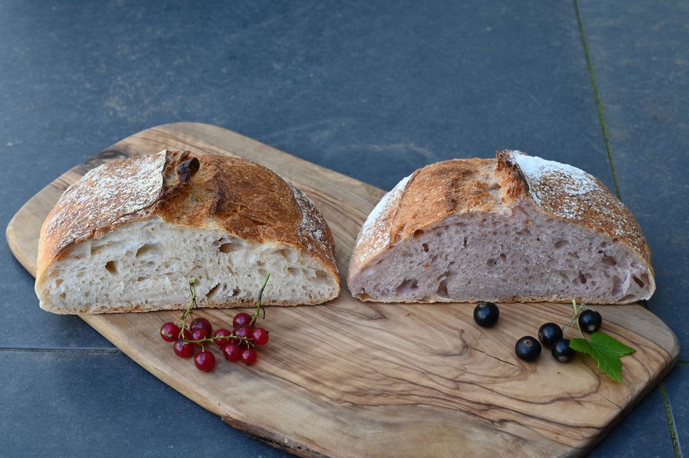 Red and blackcurrants yeast water bread