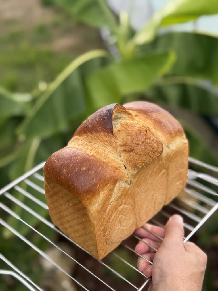 Vegan Shokupan