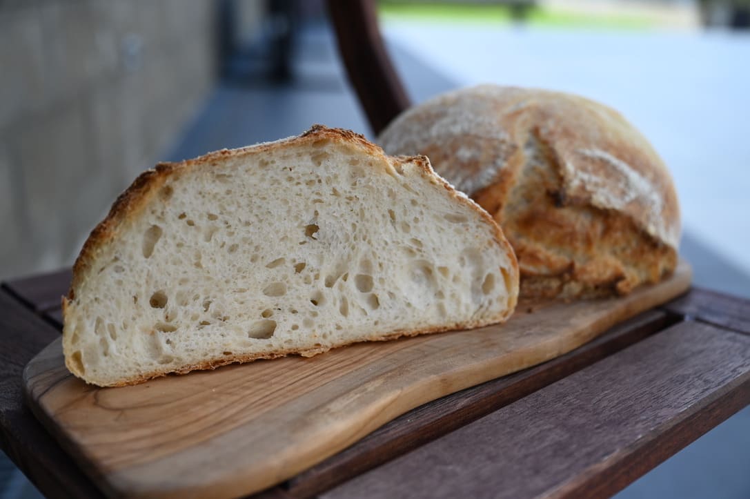 Durum Wheat Sourdough