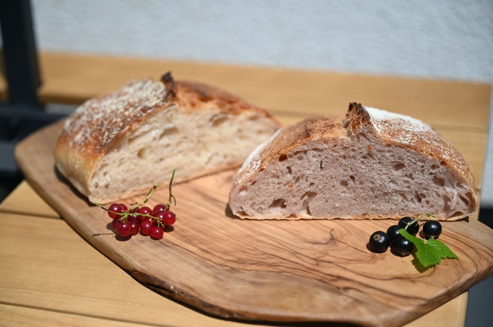 Red and blackcurrants yeast water bread