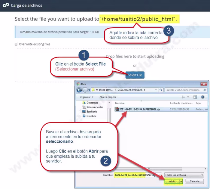 BackWPup crear backup