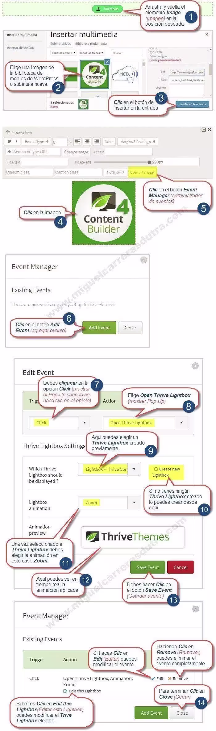 thrive content builder 4