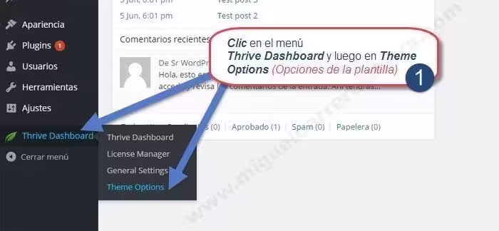 performag theme parte 2