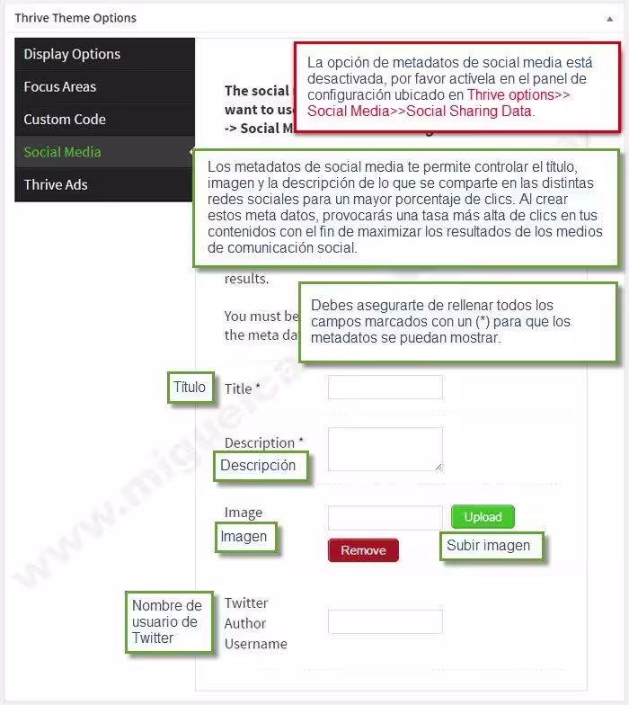 performag theme parte 3