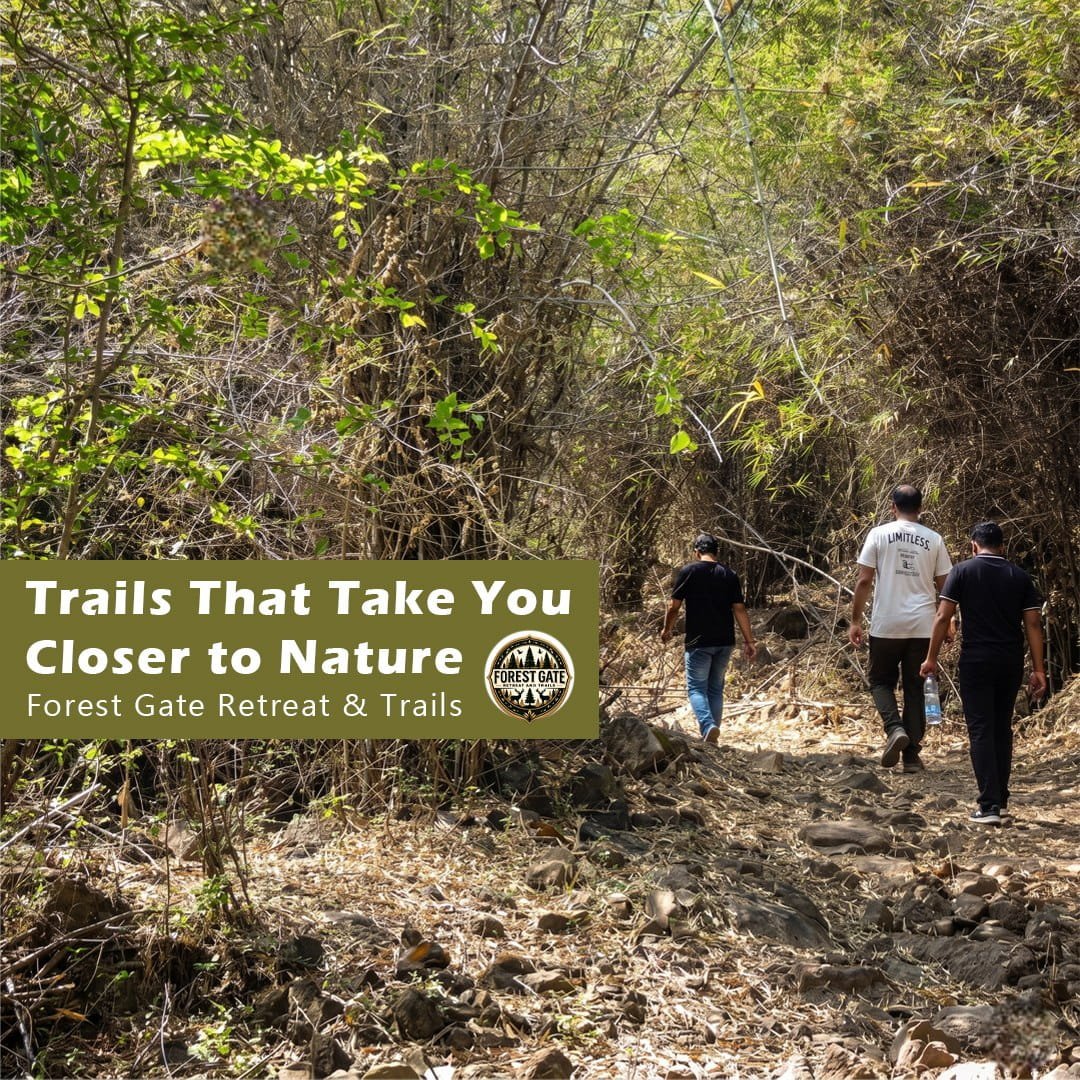 Forest Gate: A Peaceful Escape into Nature and Scenic Beauty
