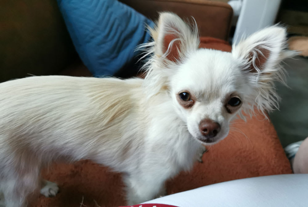 Wat zeg je, ik ga natuurlijk mee