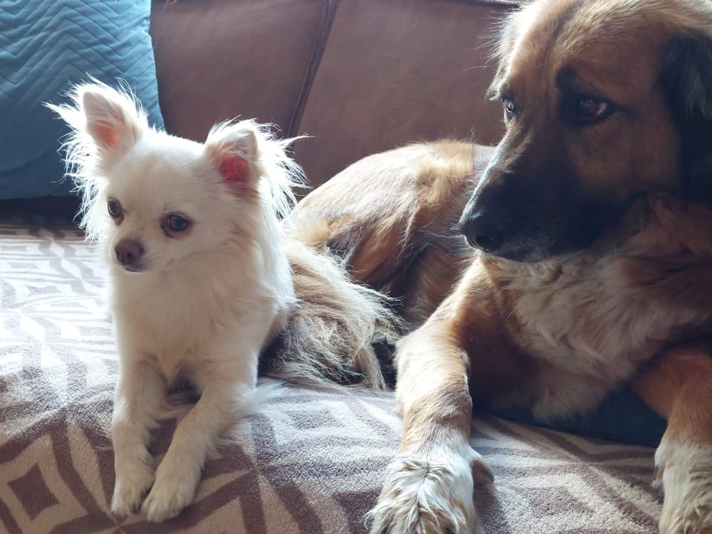 Samen met Cara, mijn nieuwe vriendin