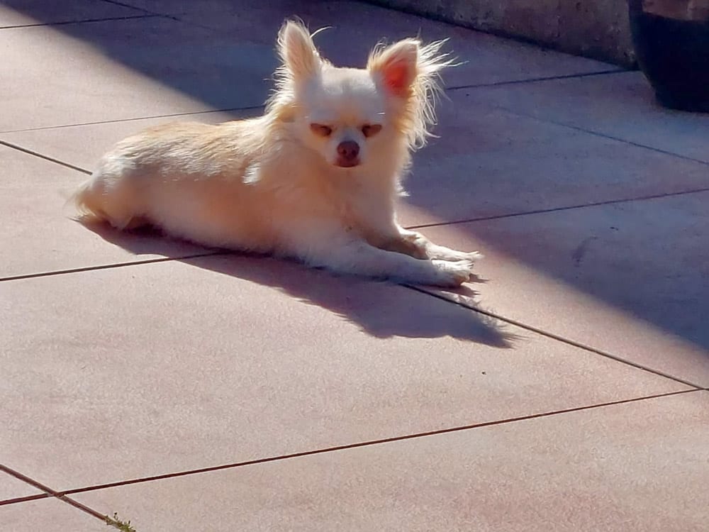 Heerlijk, ik hou van de zon