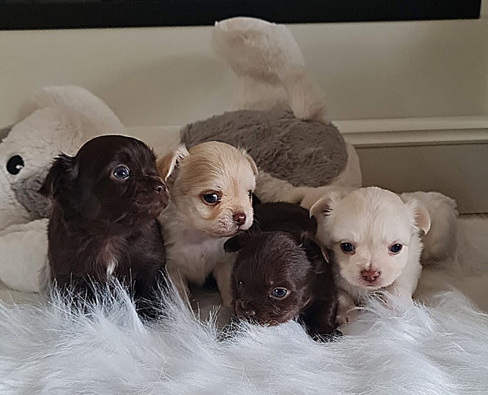 Zijn we niet een heel knap stel samen