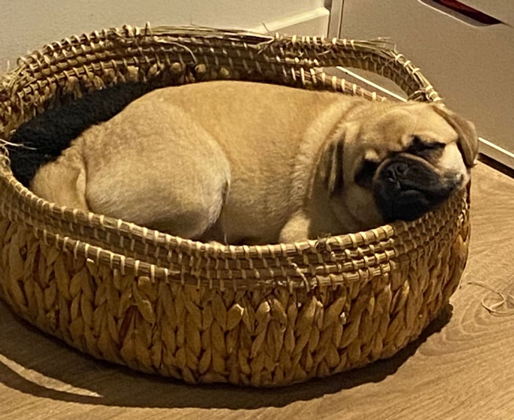 Helemaal van de wereld.