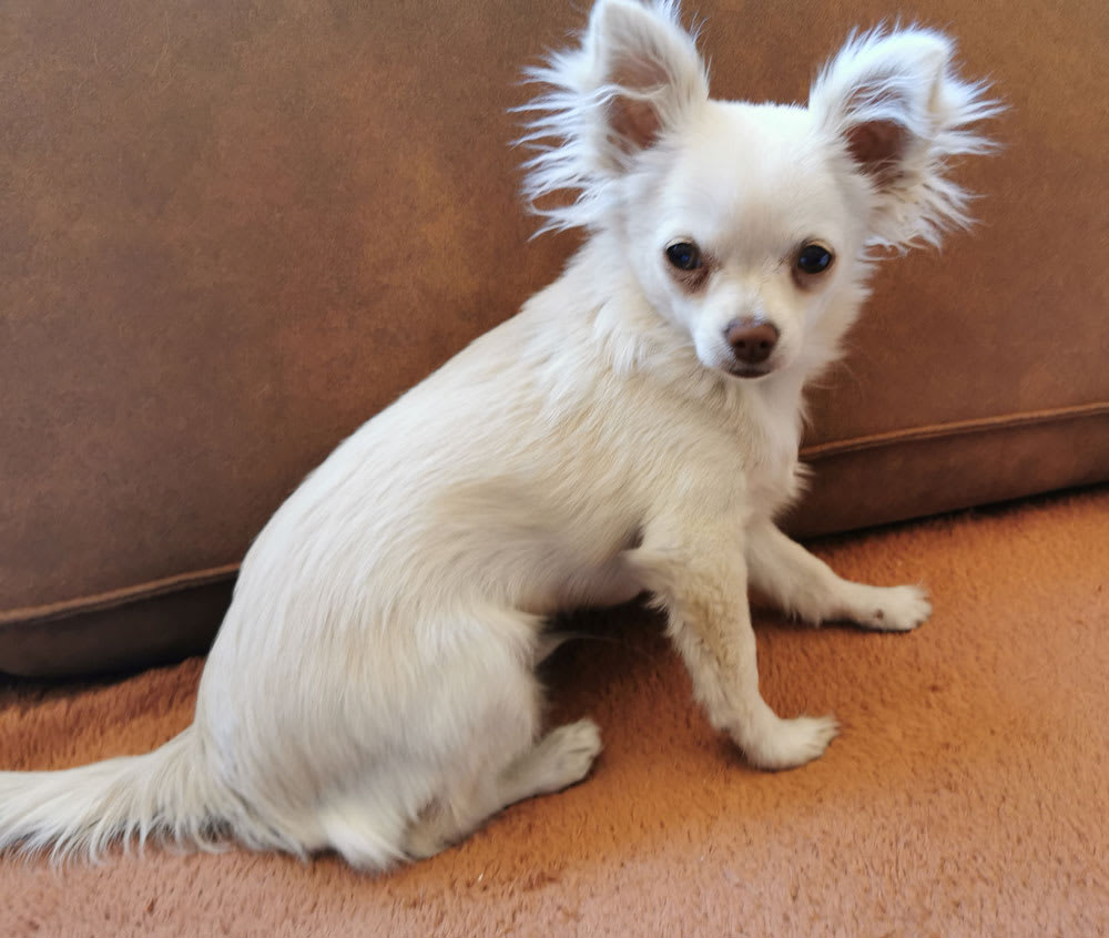 O vrouwtje wil je me even pakken