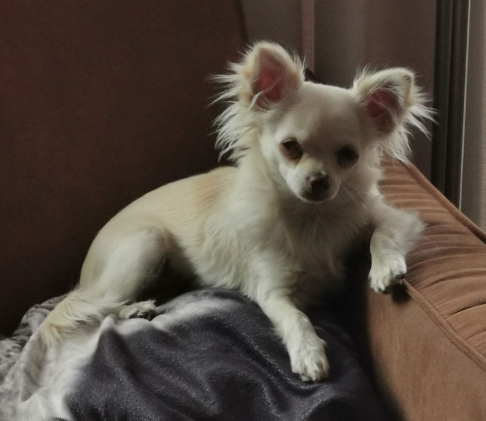 Ik lig hier heerlijk