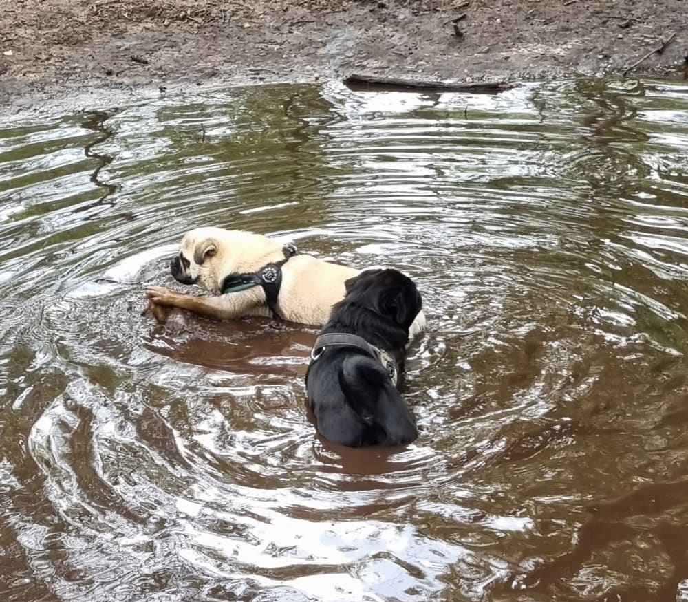 Hier krijg ik zwemles van Bram