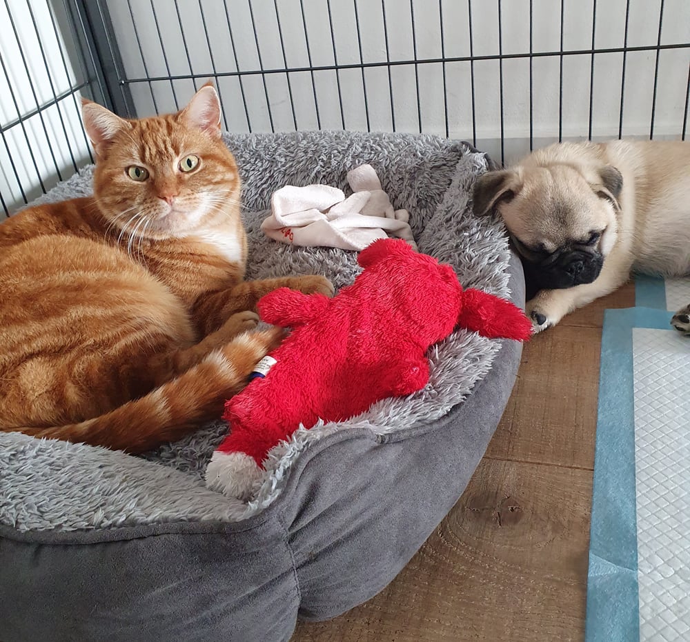 Even uitrusten na de vermoeiende reis