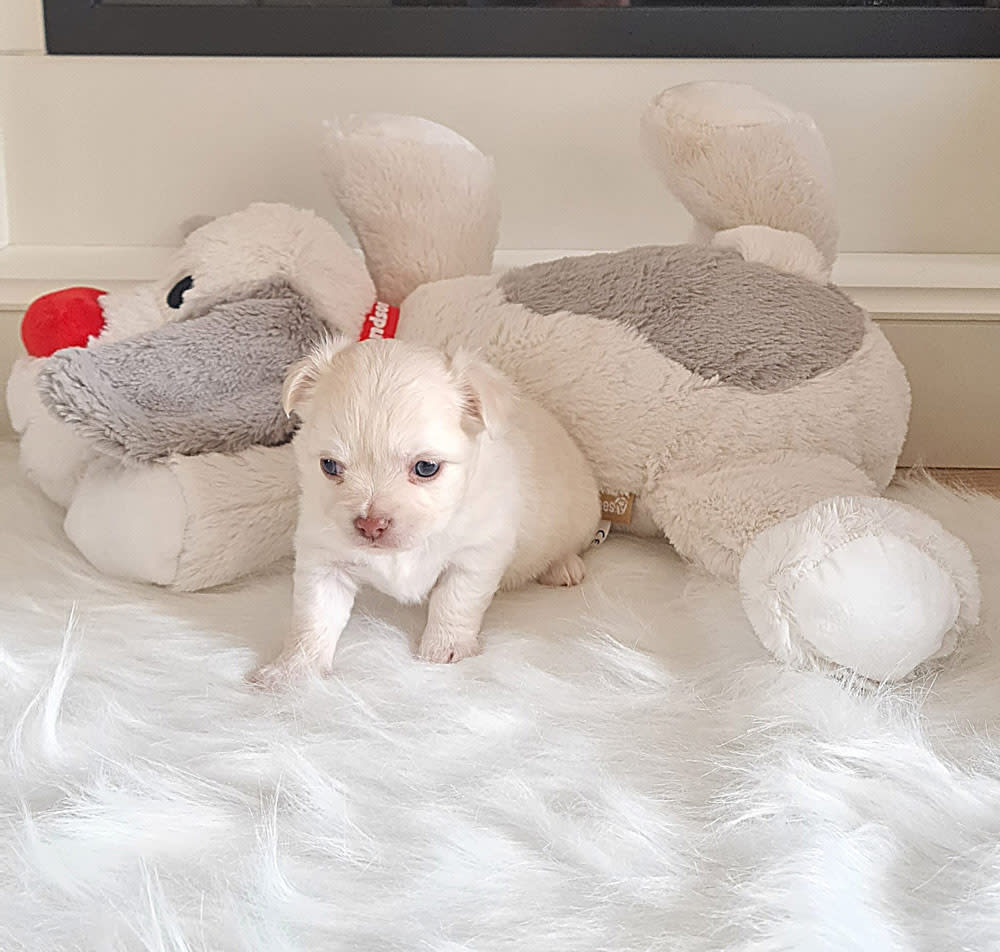 Ik kan al mooi zitten