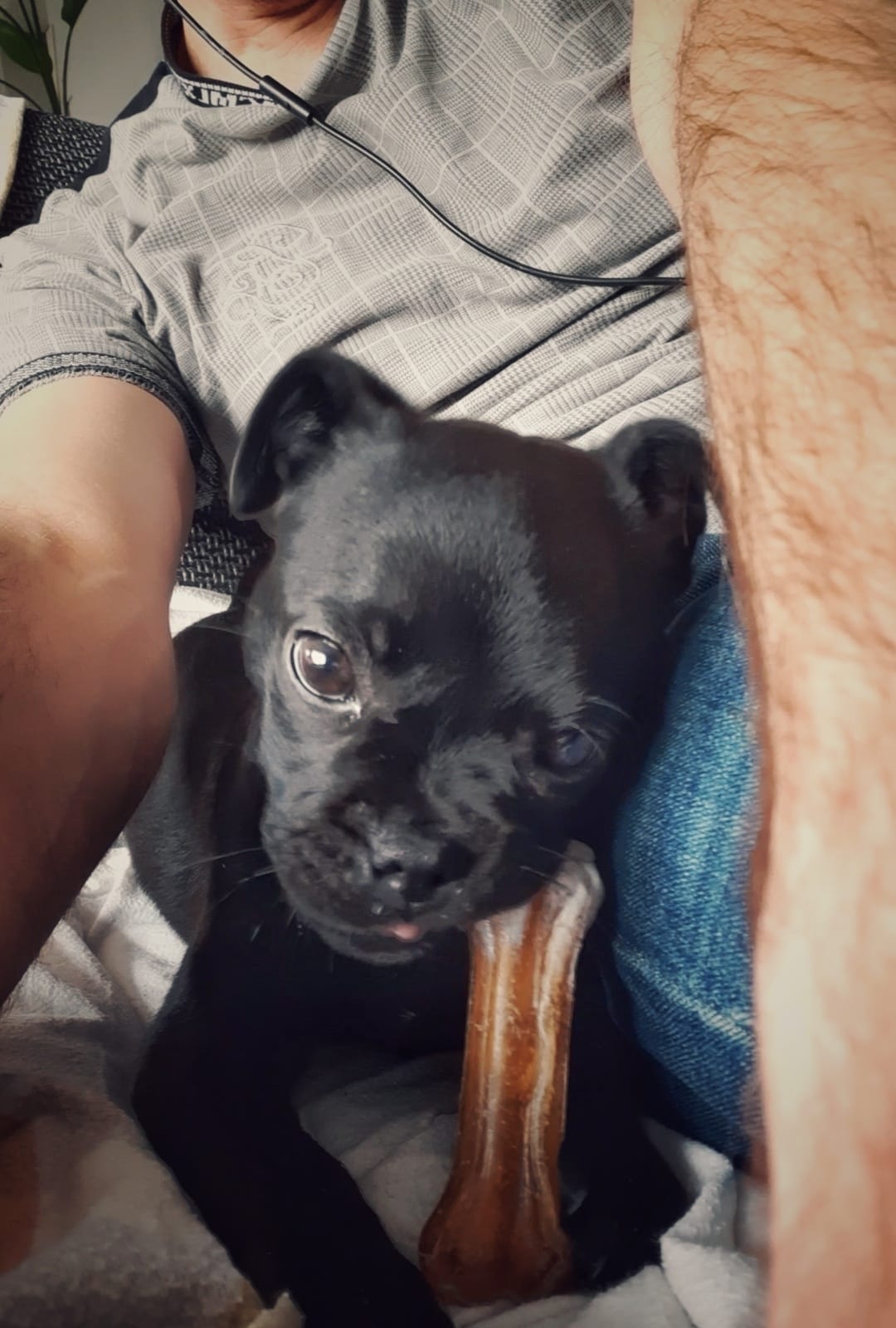 Ik vind het gezellig om bij mijn baasje op mijn botje te kauwen.