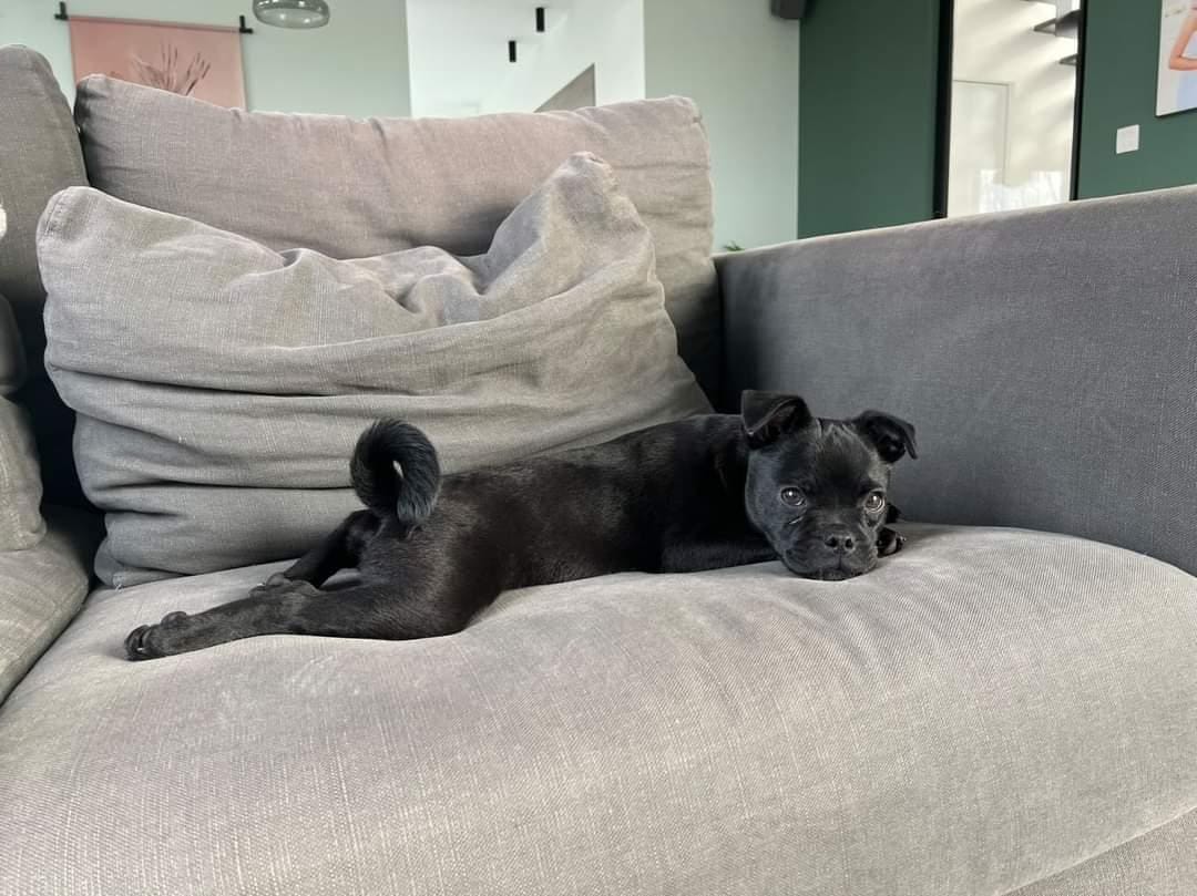 Hij vindt het heerlijk om languit op de bank te liggen.