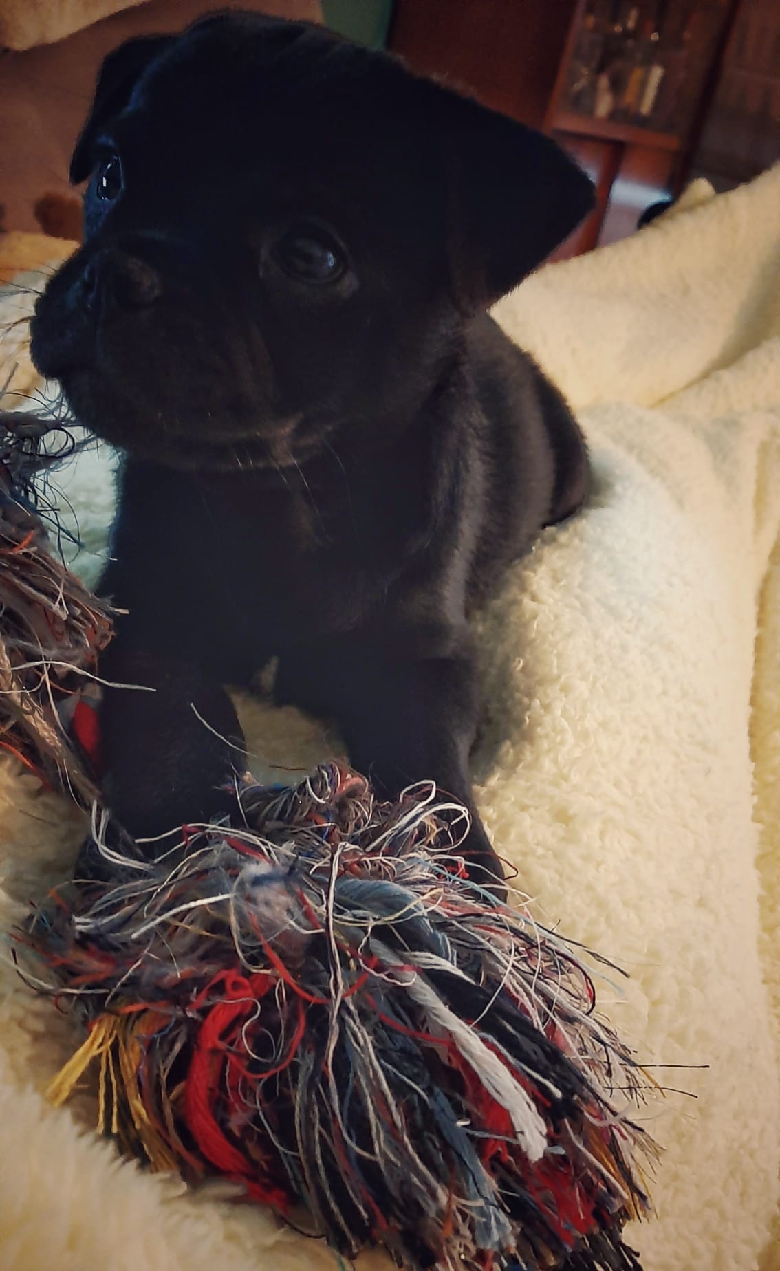 Dat is van mij, als je het maar weet.