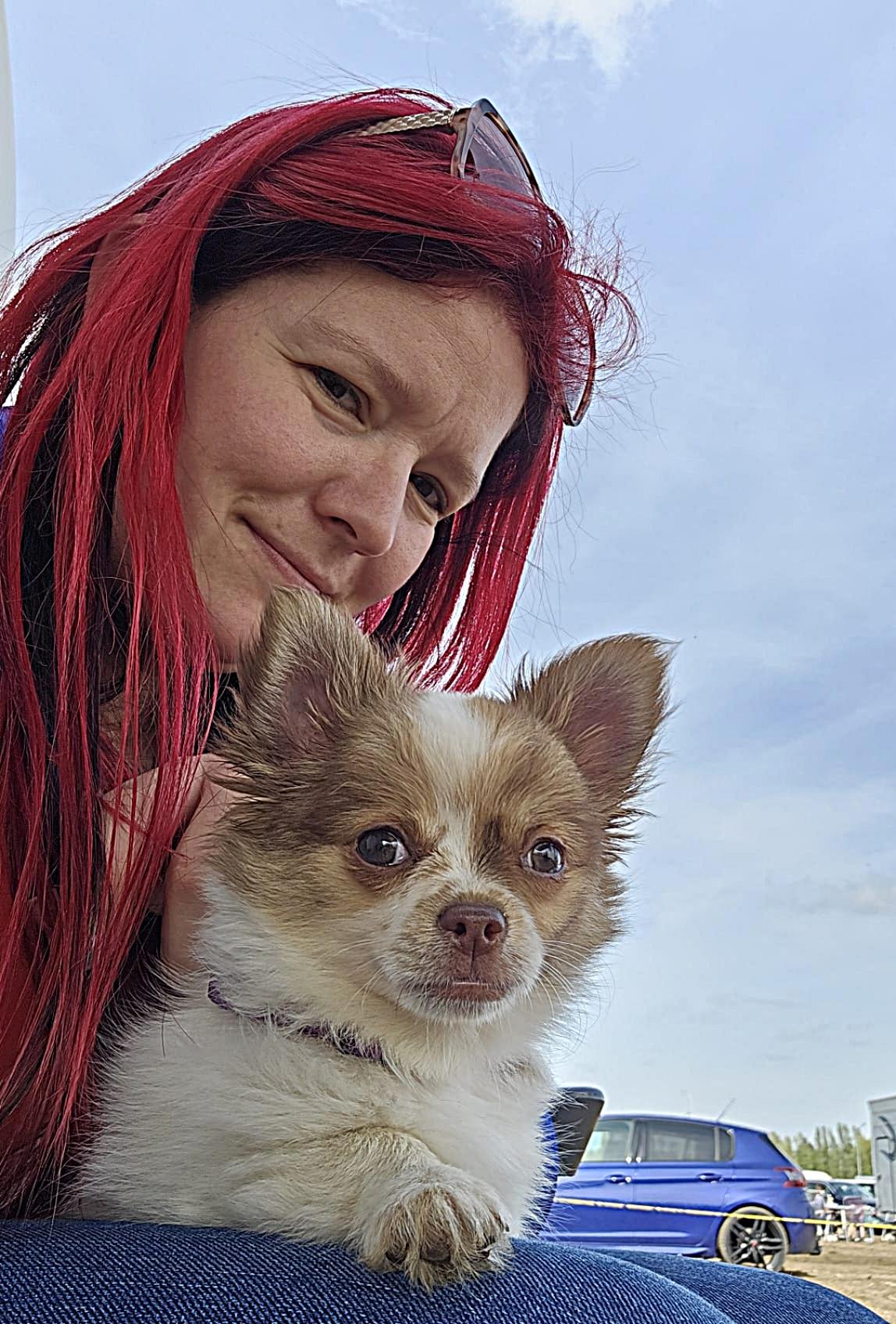 Chihuahua Balou