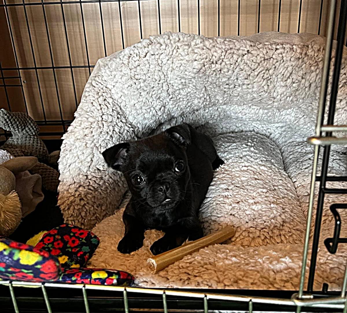 Retromops Coco - Lou Lou