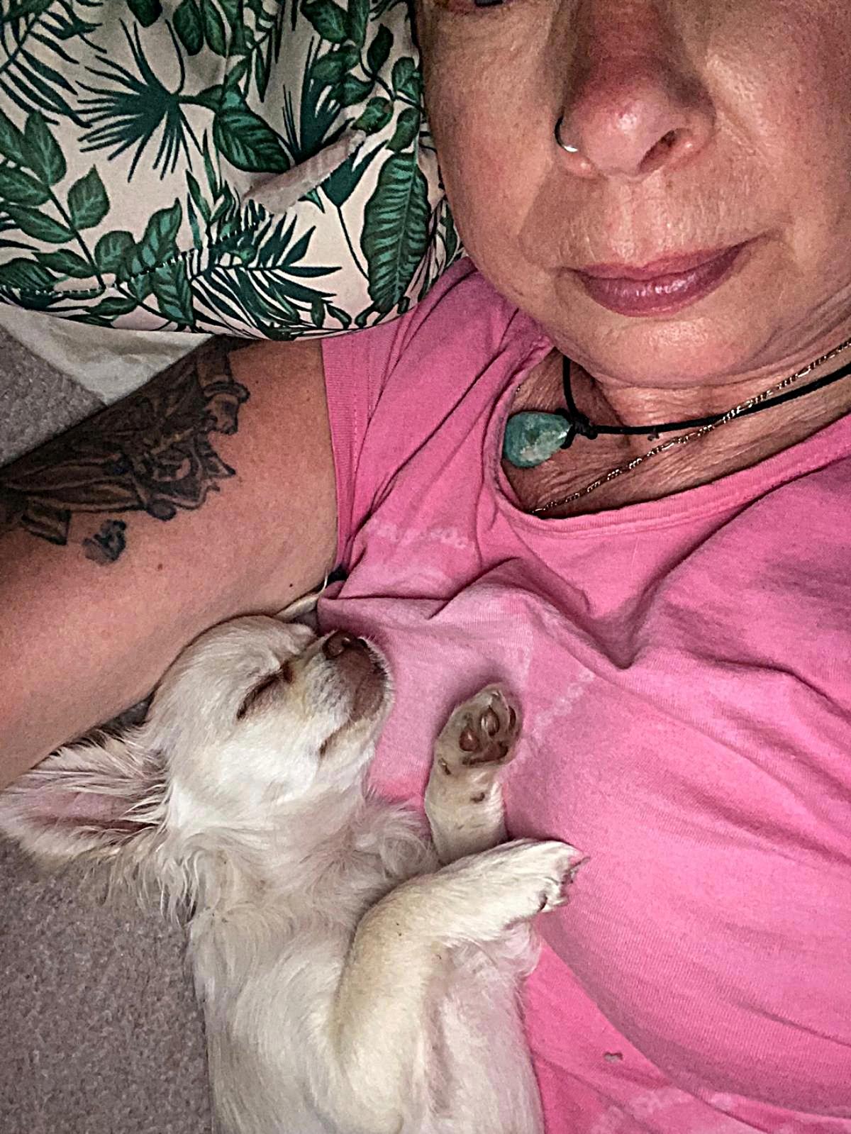Lilly - Blanca chihuahua