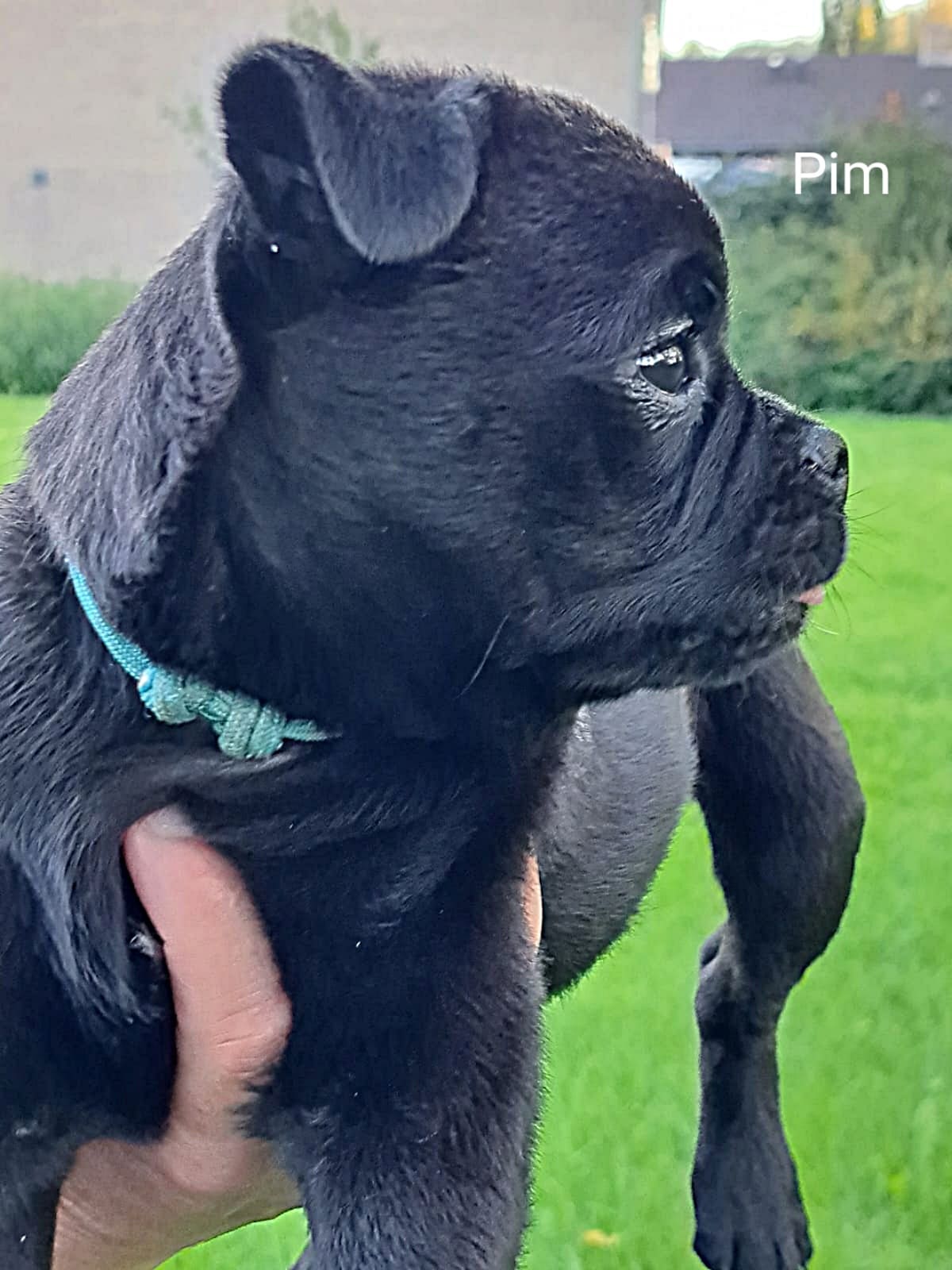 retromops