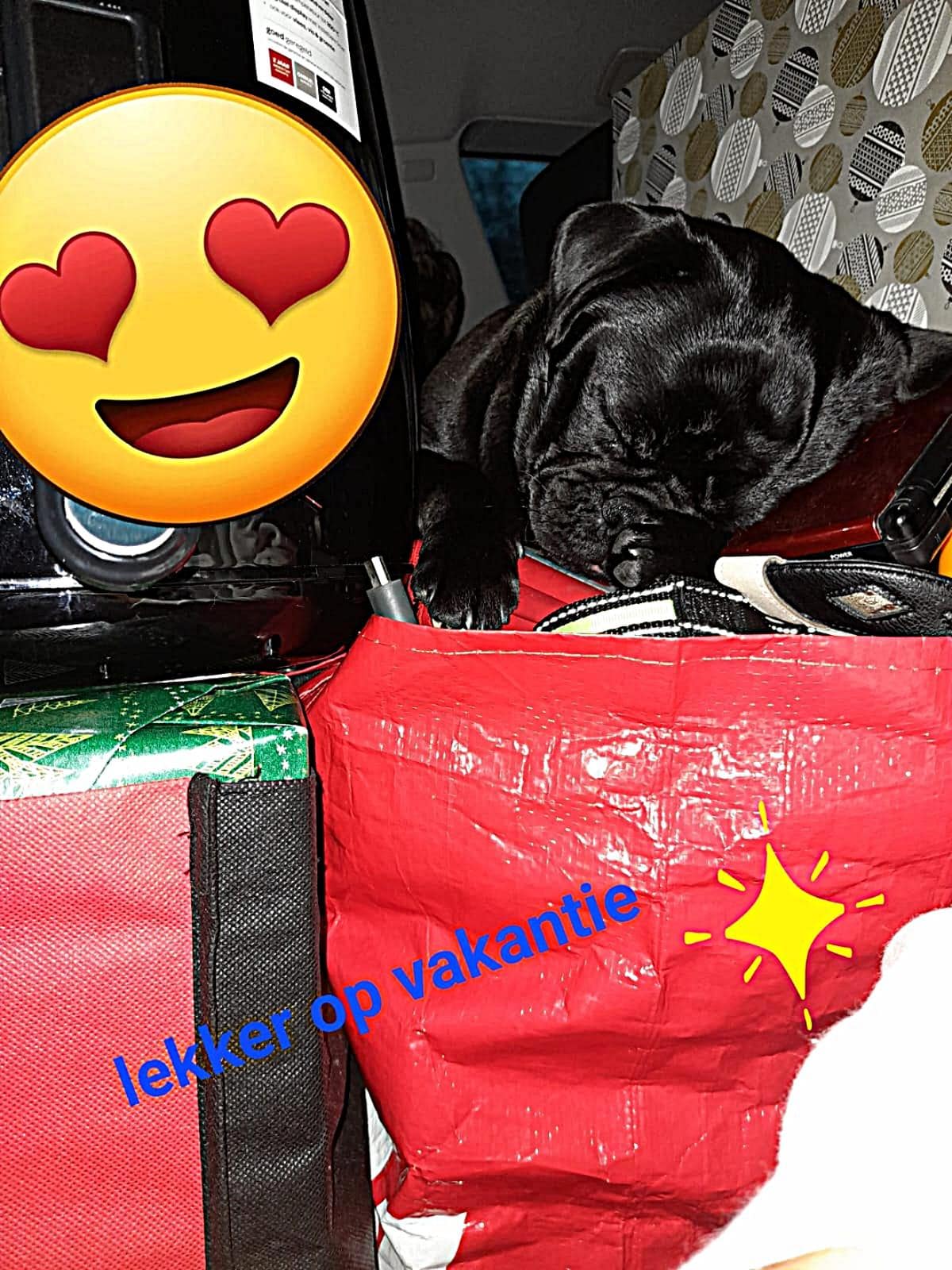 Amy - Indy Retromops