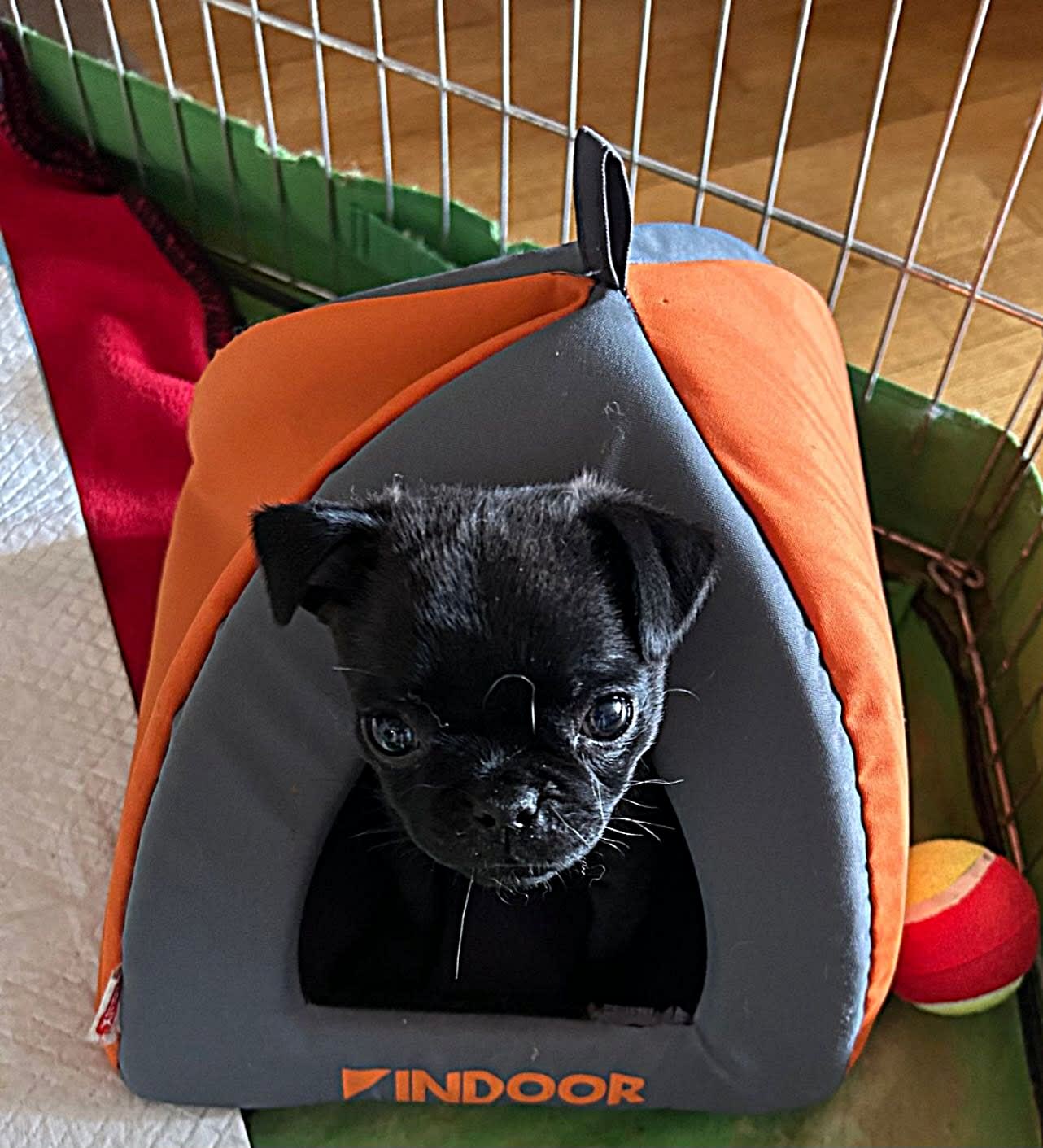 Retromops Coco - Lou Lou