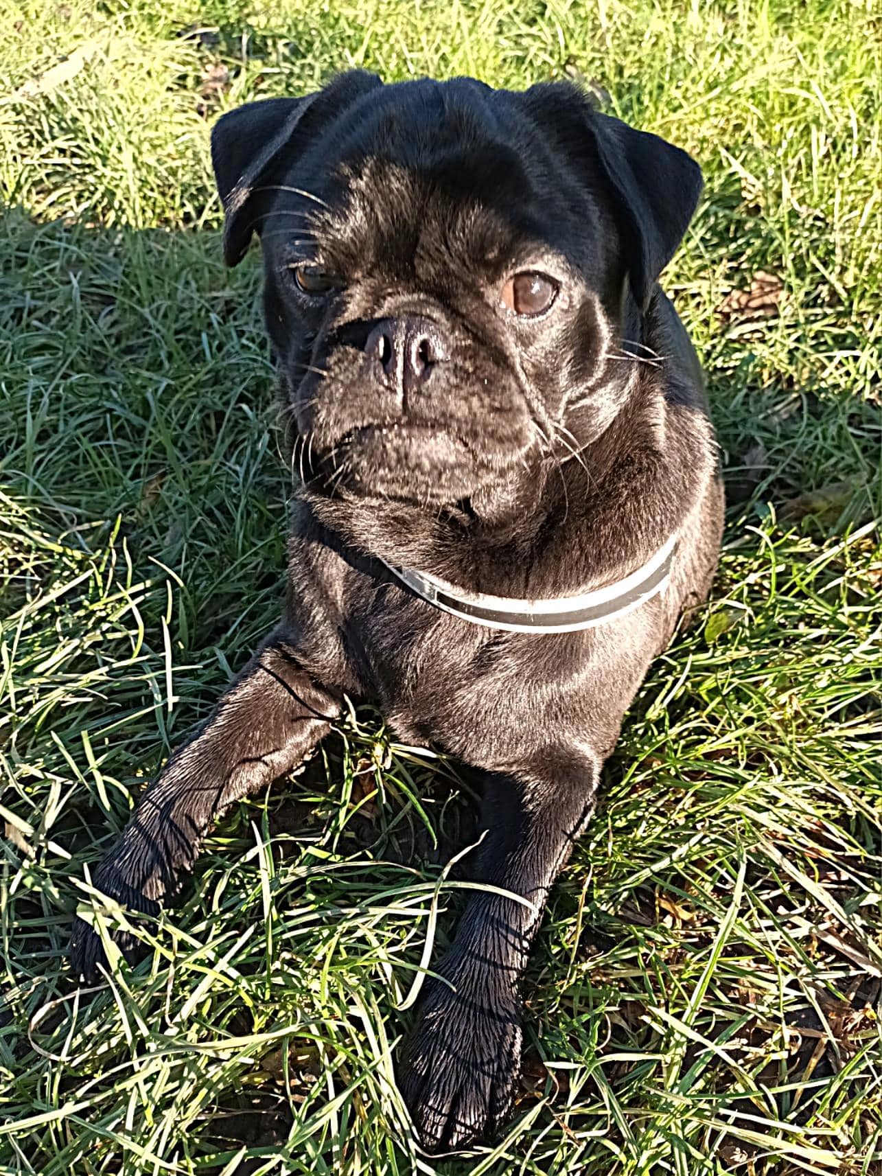 Amy - Indy Retromops