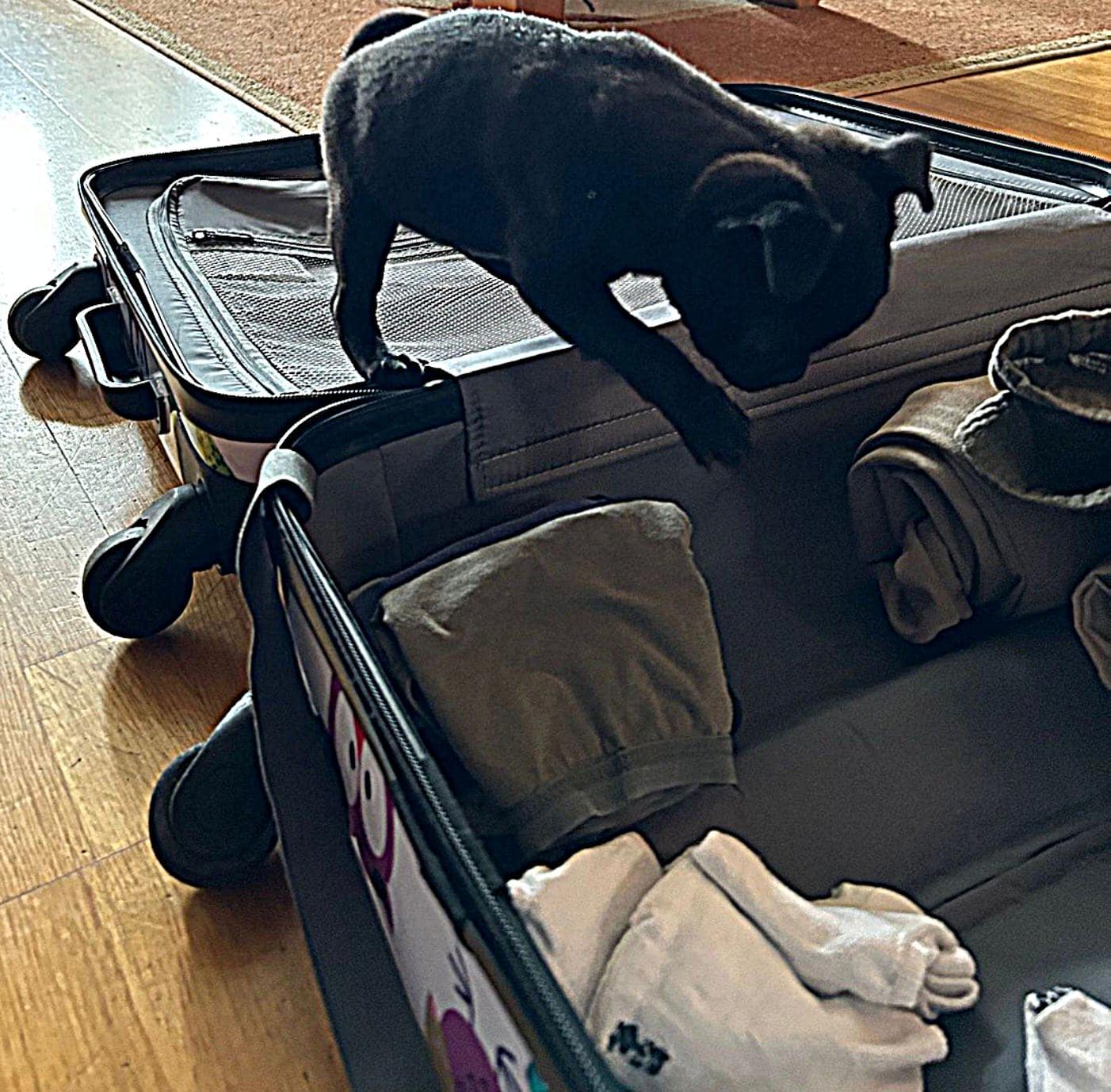 Retromops Coco - Lou Lou