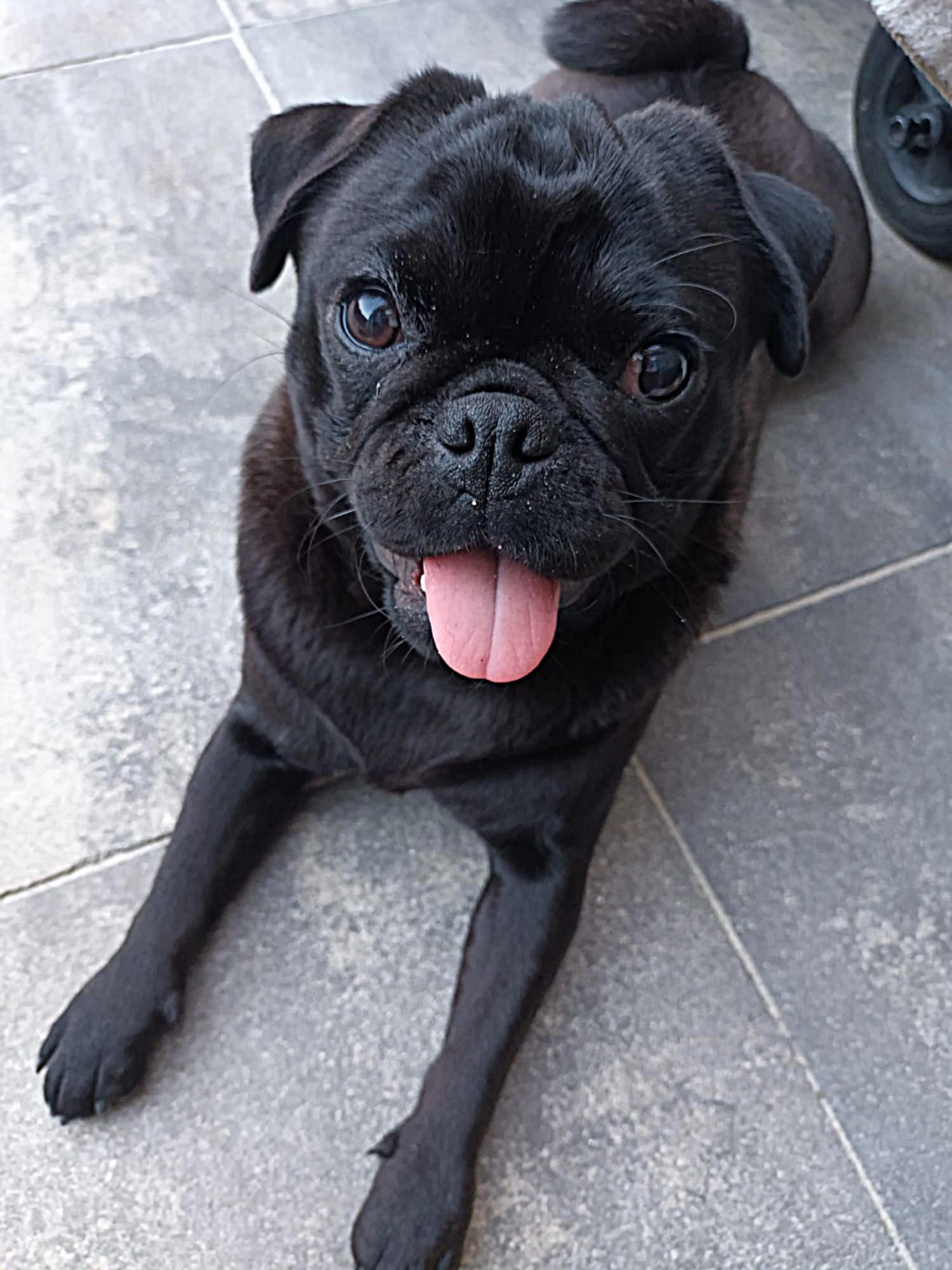 Amy - Indy Retromops