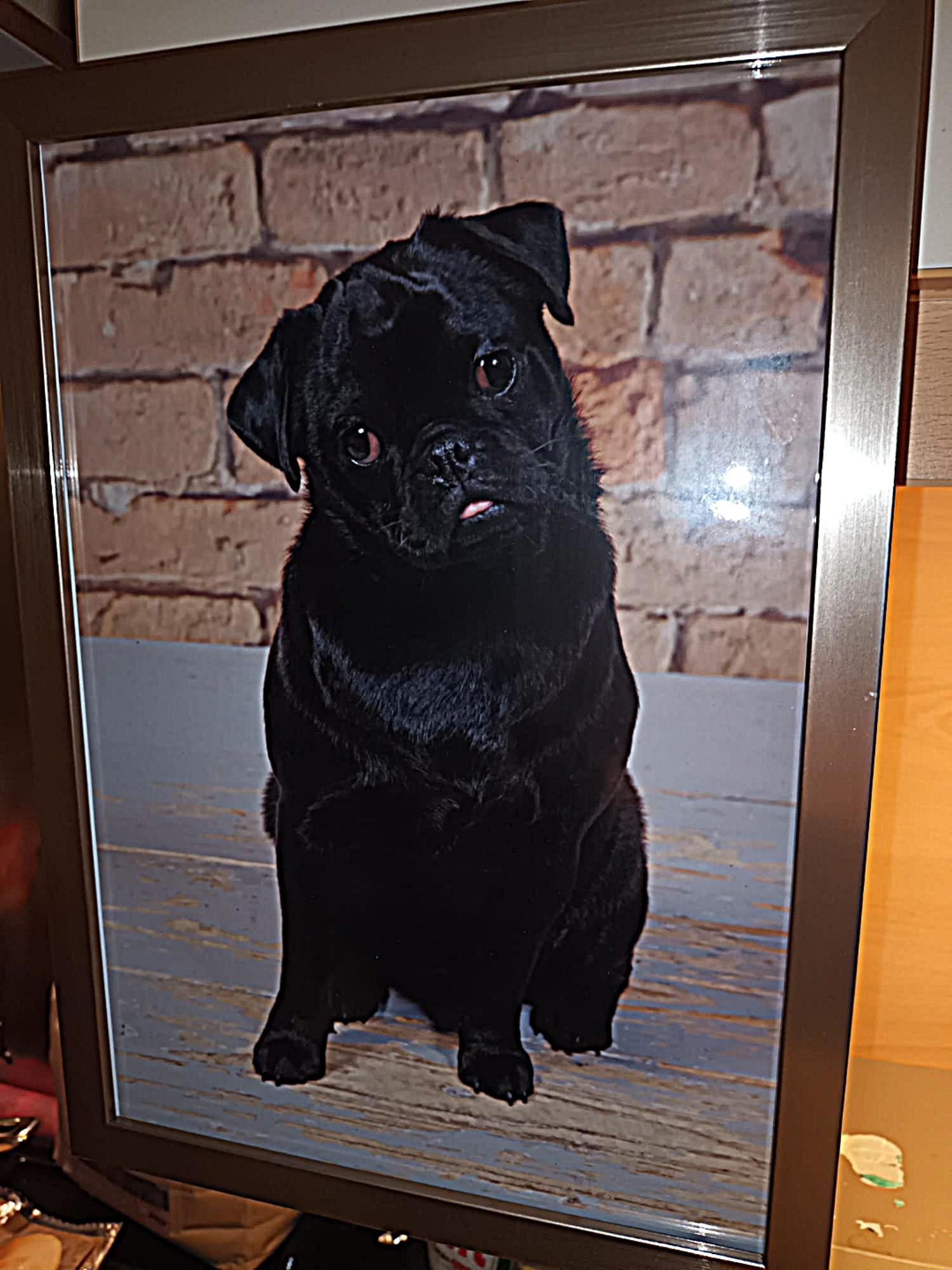 Amy - Indy Retromops